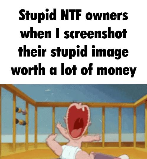 Stupid NTF owners when screenshot their stupid image worth a lot of money