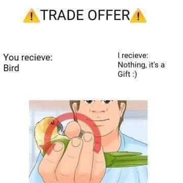 TRADE OFFER You recieve recieve Bird Nothing its a Gift