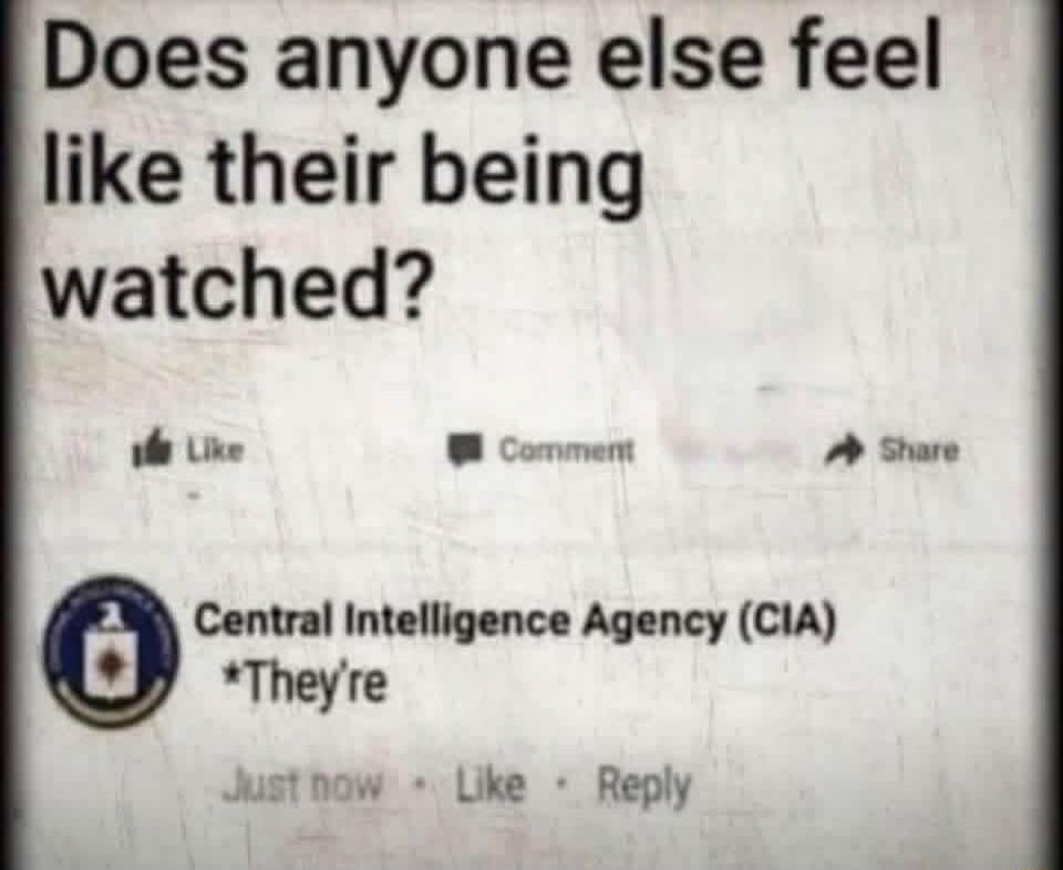Does anyone else feel like their being watched? Central Intelligence Agency (CIA) *They're