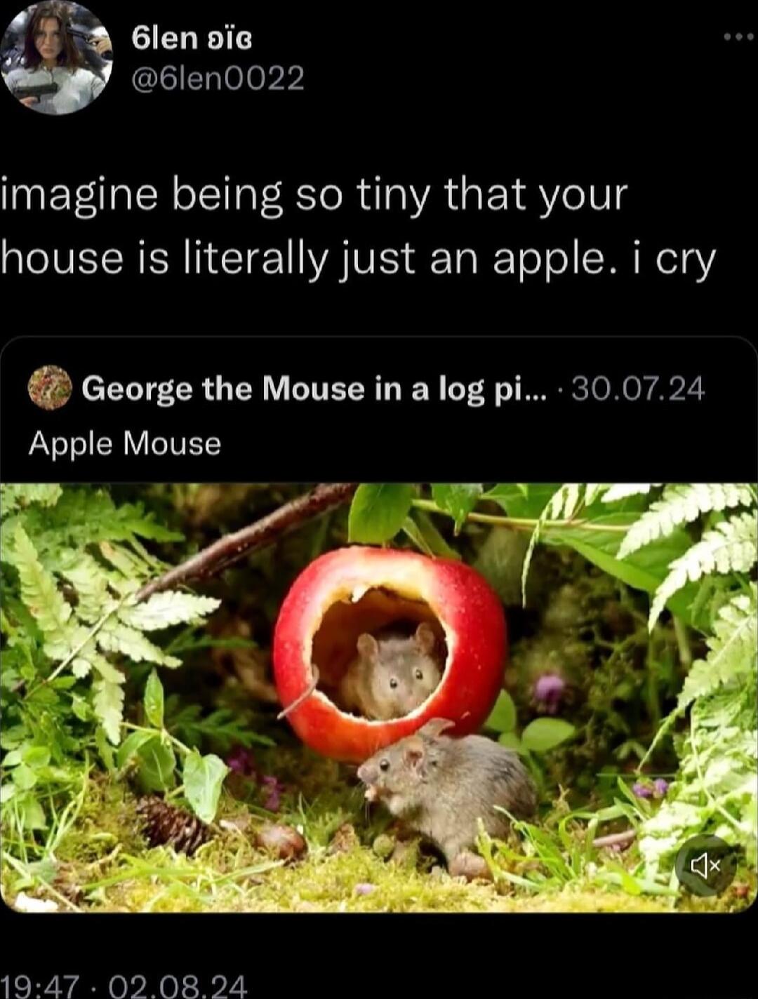 l 6len oie 6len0022 imagine being so tiny that your house is literally just an apple i cry 67 cTLTF ER YV IVEERT I 4 RNy Apple Mouse 1947 02 O8 24