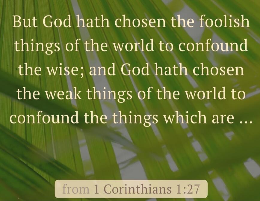 But God hath chosen the foolish things of the world to confound the wise; and God hath chosen the weak things of the world to confound the things which are ... (from 1 Corinthians 1:27)
