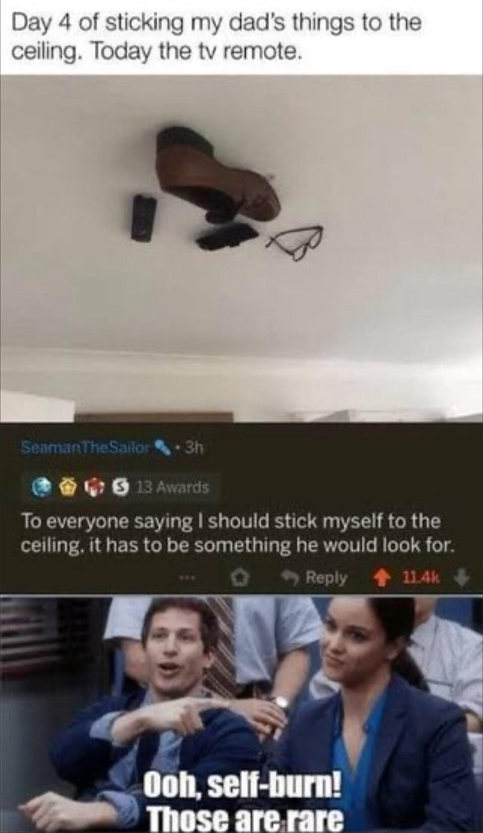 To everyone saying should stick myself to the ceiling it has to be something he would look for