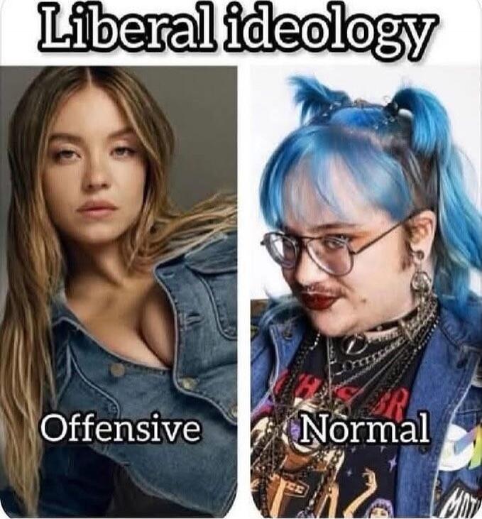 Liberal ideology
Offensive		Normal