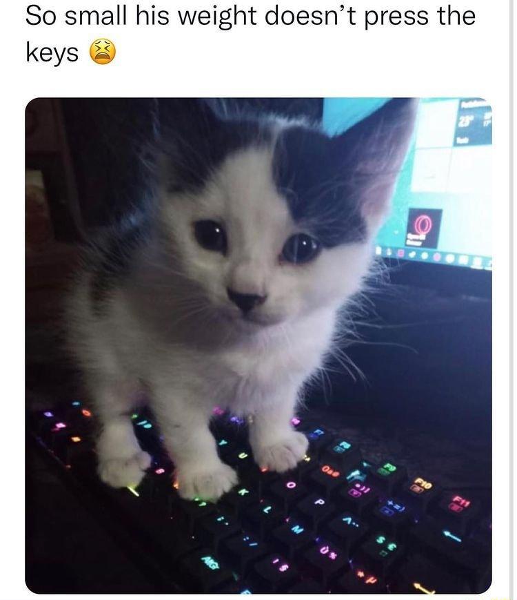 So small his weight doesnt press the keys