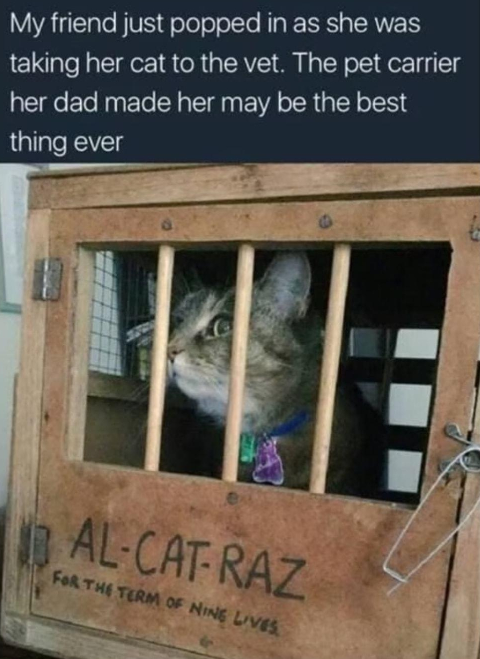 4 Rae Earl nlt VAYAlale BU1 o o0l To Nl RS g ISRV TS taking her cat to the vet The pet carrier her dad made her may be the best allgle Kl