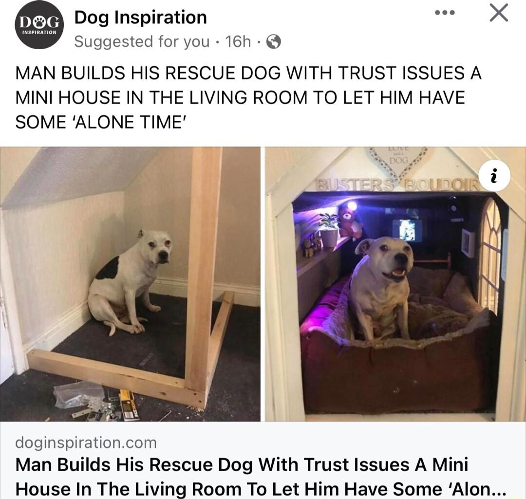 Duglnspiraion e X Suggested for you 16h MAN BUILDS HIS RESCUE DOG WITH TRUST ISSUES A MINI HOUSE IN THE LIVING ROOM TO LET HIM HAVE SOME ALONE TIME doginspirationcom Man Builds His Rescue Dog With Trust Issues A Mini House In The Living Room To Let Him Have Some Alon