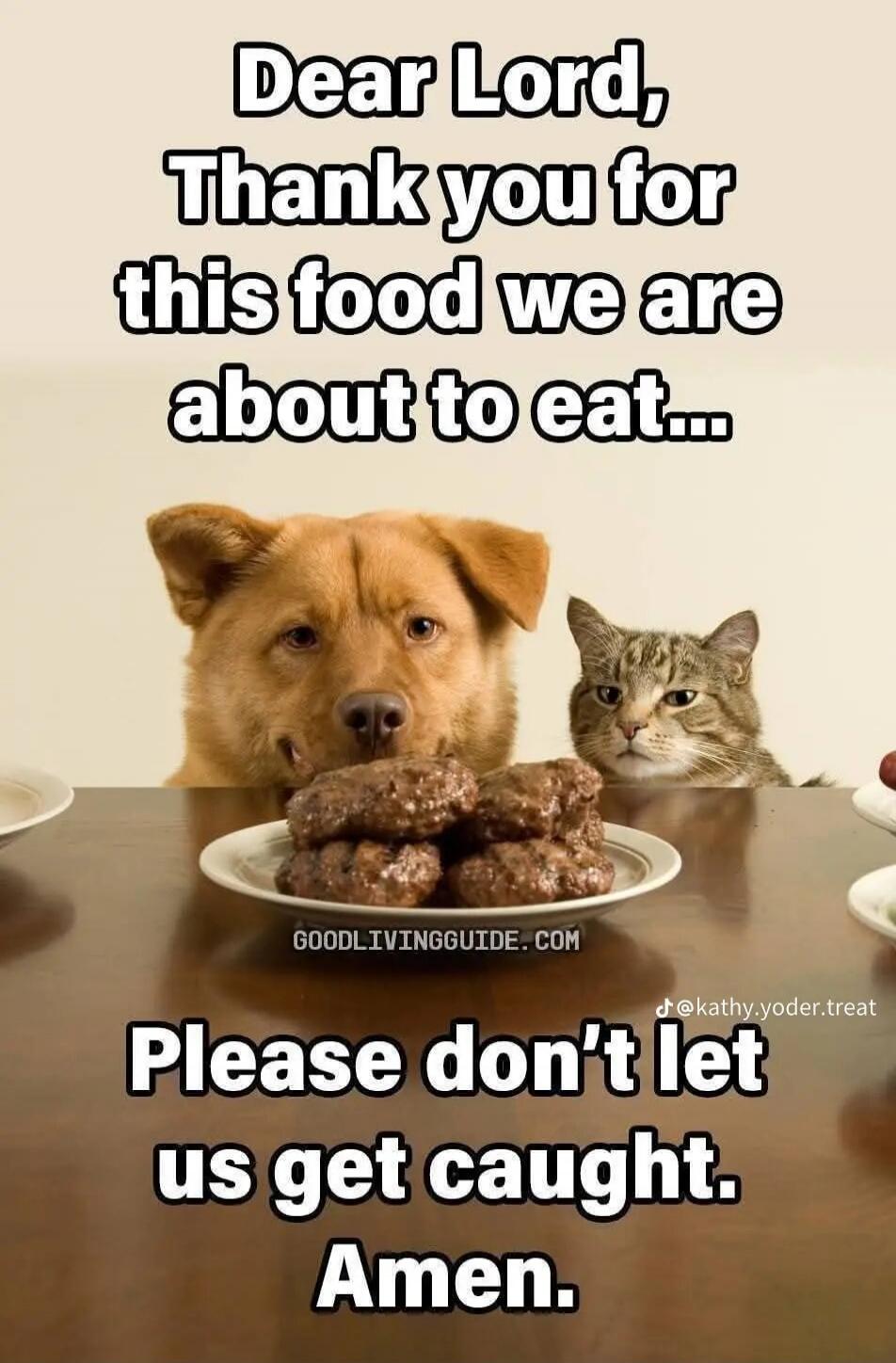 Dear Lord, Thank you for this food we are about to eat... Please don't let us get caught. Amen.