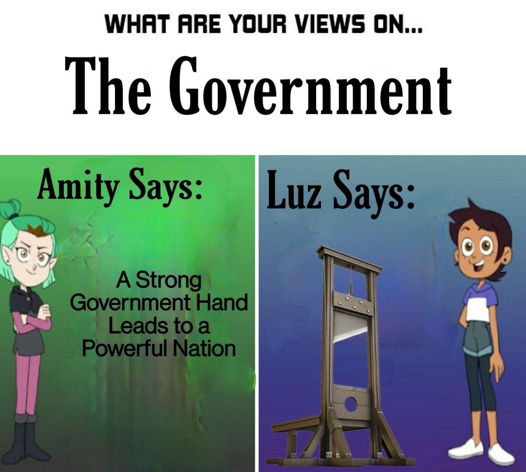 WHAT ARE YOUR VIEWS ON The Government