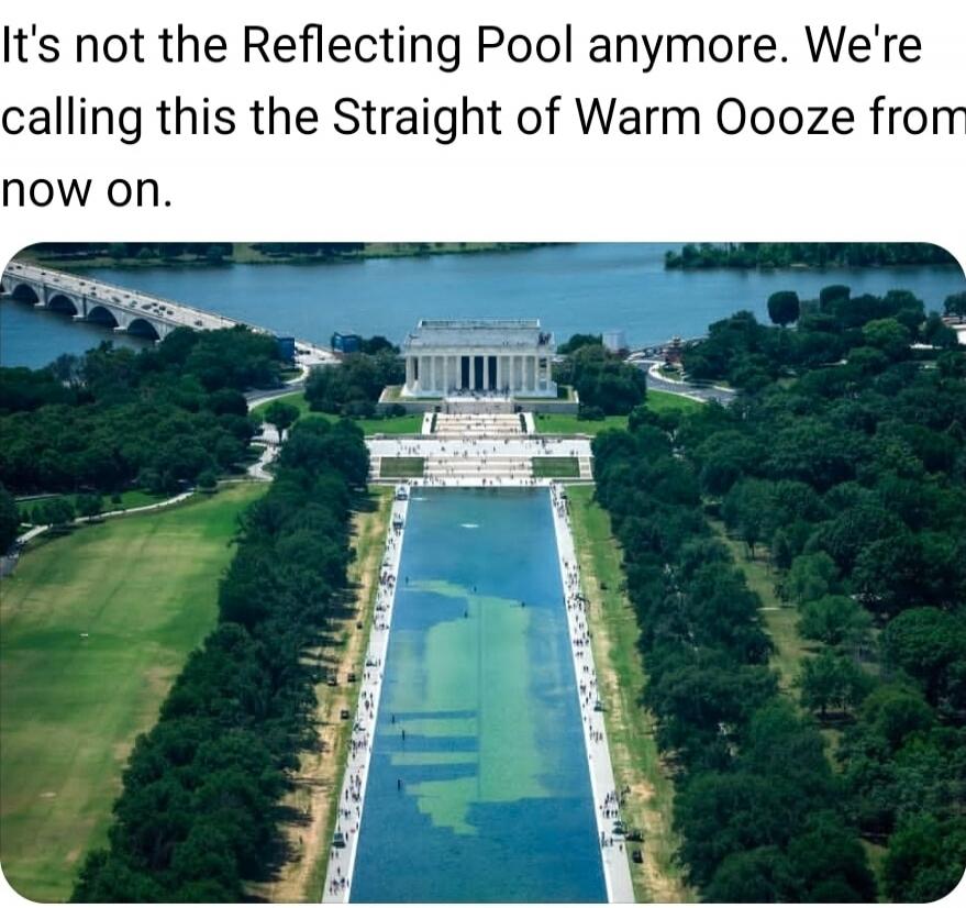 It's not the Reflecting Pool anymore. We're calling this the Straight of Warm Oooze from now on.