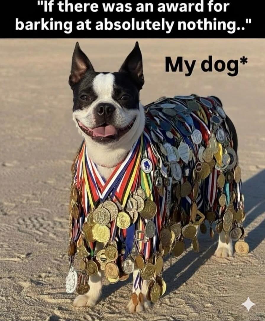 If there was an award for barking at absolutely nothing..\nMy dog*