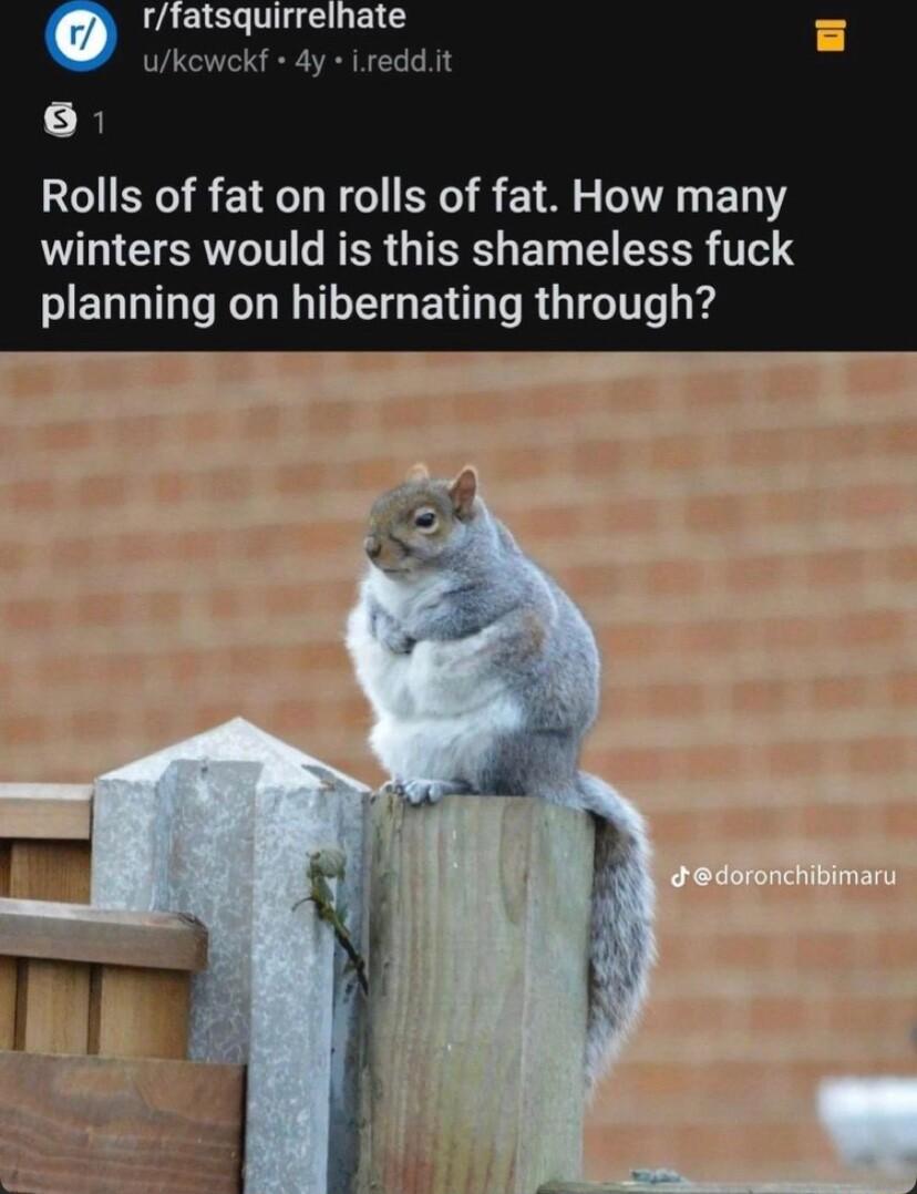 rtatsquirrelhate ukewekf 4y Lreddit 6 Rolls of fat on rolls of fat How many winters would is this shameless fuck planning on hibernating through