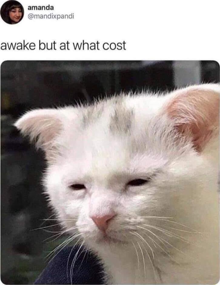 e amanda awake but at what cost