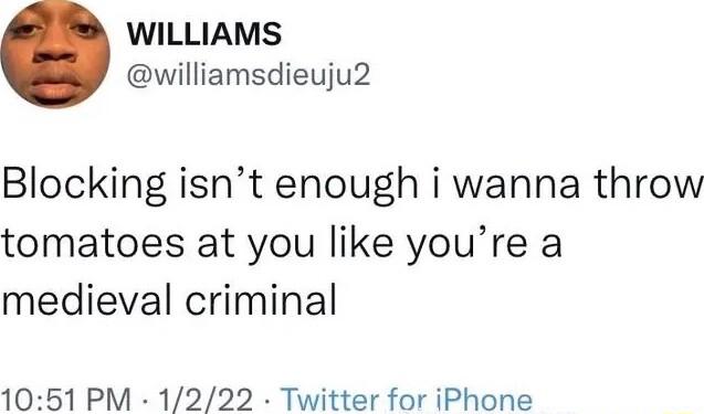 WILLIAMS williamsdieuju2 Blocking isnt enough i wanna throw tomatoes at you like youre a medieval criminal 1051 PM 1222 Twitter for iPhone