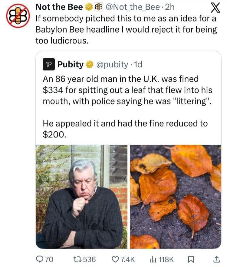Not the Bee (@Not_the_Bee) If somebody pitched this to me as an idea for a Babylon Bee headline I would reject it for being too ludicrous. Pubity (@pubity) An 86 year old man in the U.K. was fined $334 for spitting out a leaf that flew into his mouth, with police saying he was 