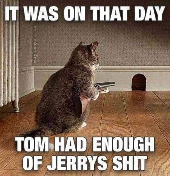 IT WAS ON THAT DAY\nTOM HAD ENOUGH OF JERRY'S SHIT