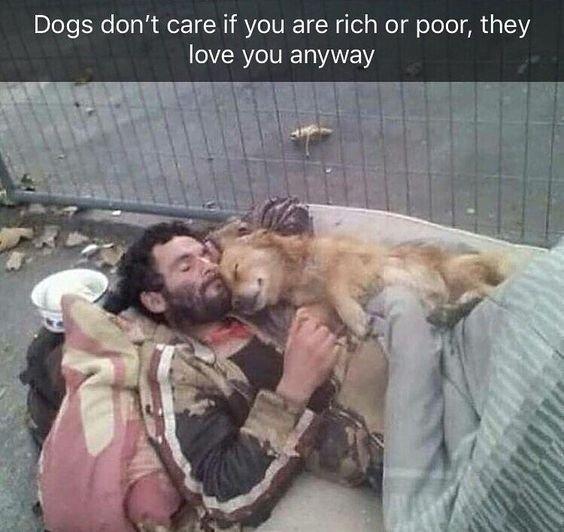 alele Y care if you are rich or CVER I EN they