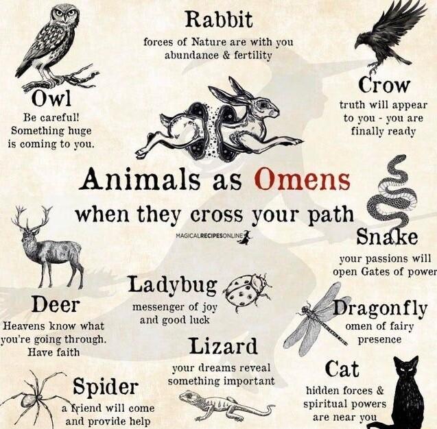 Rabbit forces of Nature are with you abundance fertility Owl Bo caretult Something huge is coming 0 yo Ammals as Omens g when thev cross your path ol appear finally ready your passions will open Gates of powe Ladybug Deer emeeriper ot 0y e e T seeontly s G R Lizard 0 presence g sour dreams reveal Cat Spider PO pitden forces 2 aYyiend will come spiritual powers Eage 3o vl oo