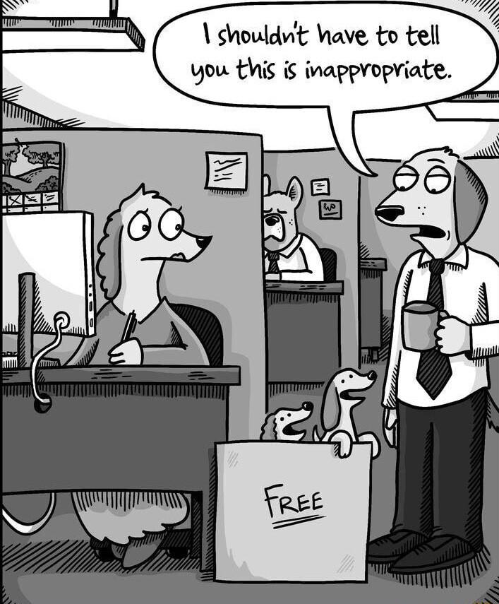 shouldwt Wiave to tell you this is inappvopriate