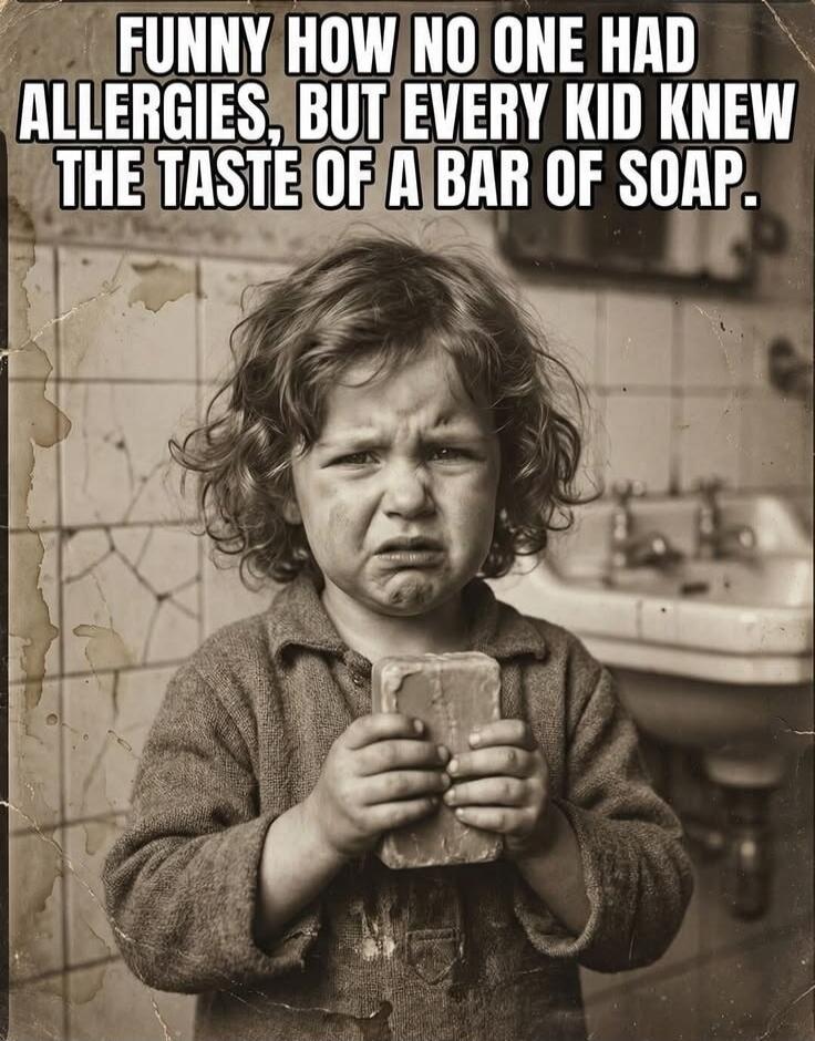 FUNNY HOW NO ONE HAD ALLERGIES, BUT EVERY KID KNEW THE TASTE OF A BAR OF SOAP.