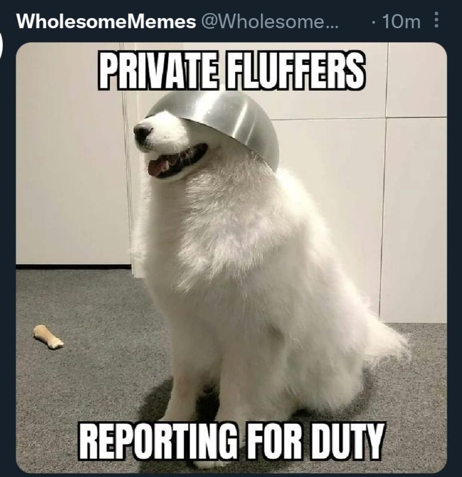 G L 4 WholesomeMemes Wholesome