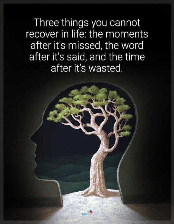 Three things you cannot recover in life: the moments after it's missed, the word after it's said, and the time after it's wasted.