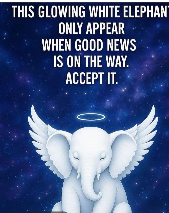 THIS GLOWING WHITE ELEPHANT ONLY APPEAR WHEN GOOD NEWS IS ON THE WAY. ACCEPT IT.