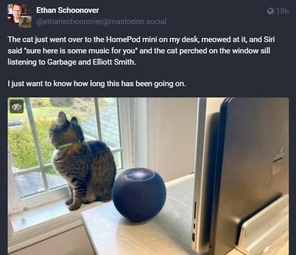 _ Ethan Schoonover The cat just went over to the HomePod mini on my desk meowed at i and Sif said sure hereis some music for you and the cat perched on the window sill listening to Garbage and Ellott Smith 1 just want to know how long this has been going on