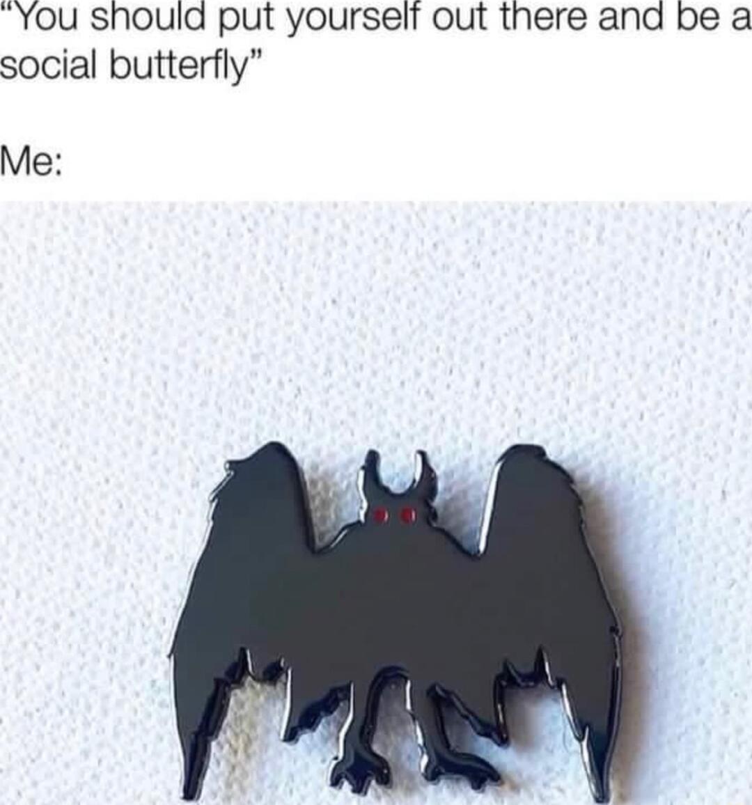 You shoula put yourselt out there and be a social butterfly Me