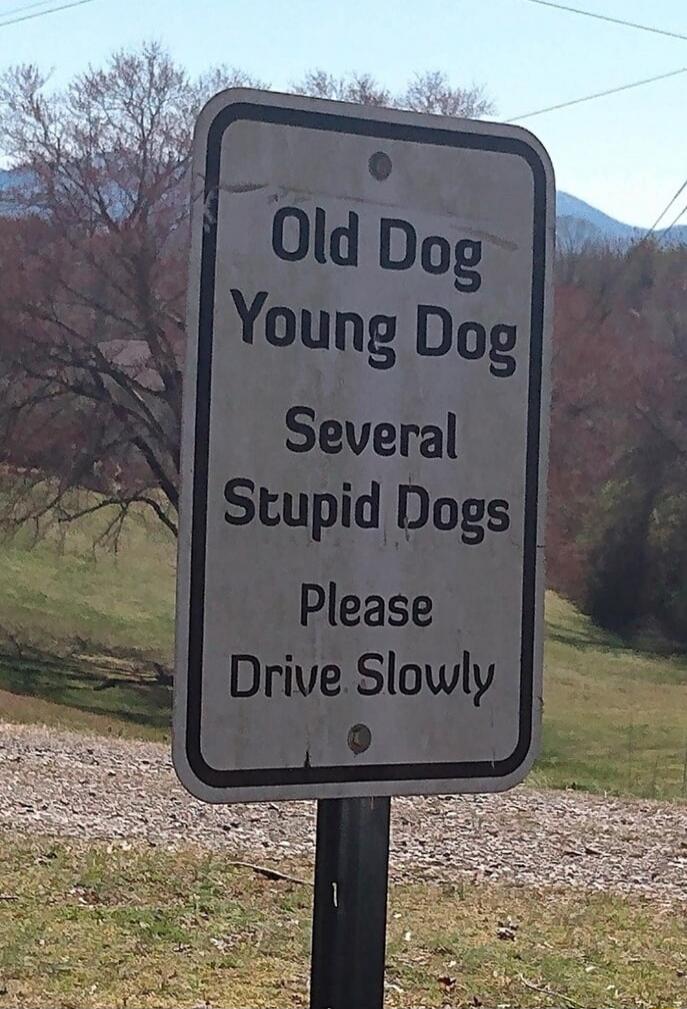 Old Dog
Young Dog
Several
Stupid Dogs
Please
Drive Slowly