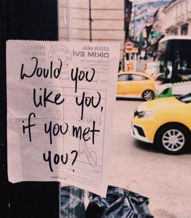 Would you like you, if you met you?
