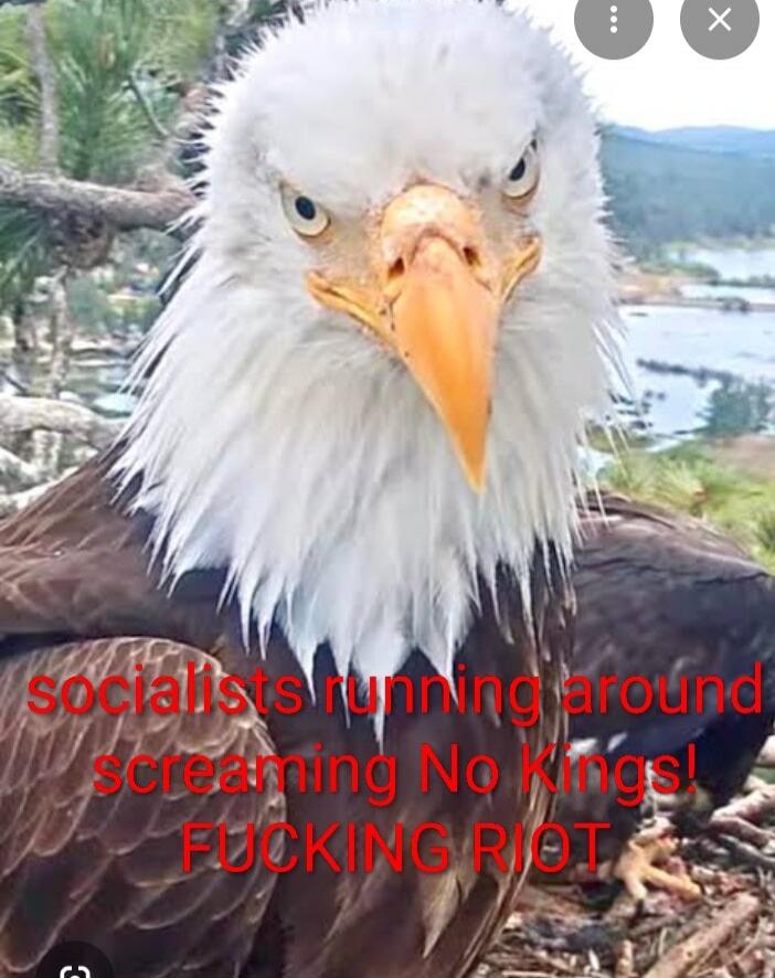 socialists running around screaming No Kings! FUCKING RIOT