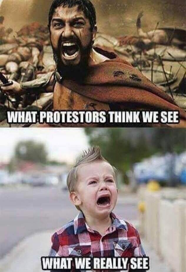 WHAT PROTESTORS THINK WE SEE
WHAT WE REALLY SEE