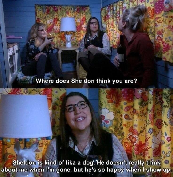 wn does Sheldon think you are of lika a dogHe d one but hes so haj
