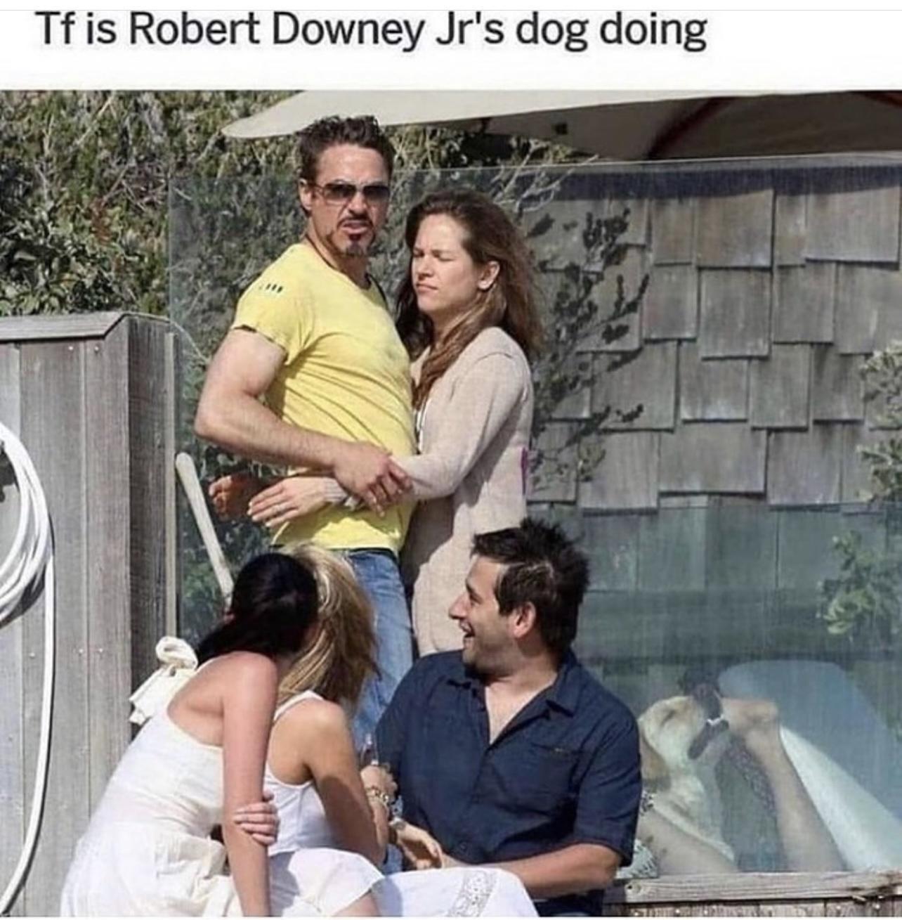 Tf is Robert Downey Jrs dog doing