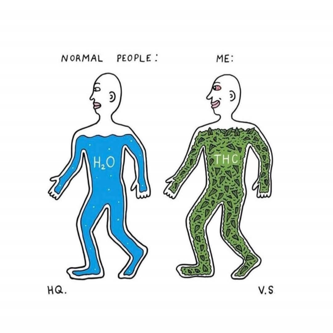 NORMAL PEOPLE: ME: 
(left) blue figure labeled H2O 
(right) green figure labeled THC