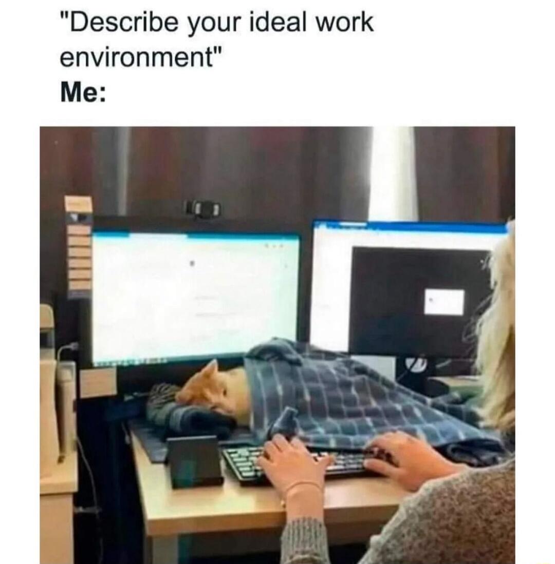 Describe your ideal work environment Me