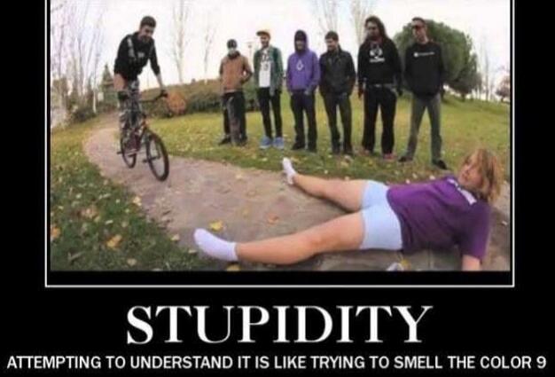 STUPIDITY
ATTEMPTING TO UNDERSTAND IT IS LIKE TRYING TO SMELL THE COLOR 9