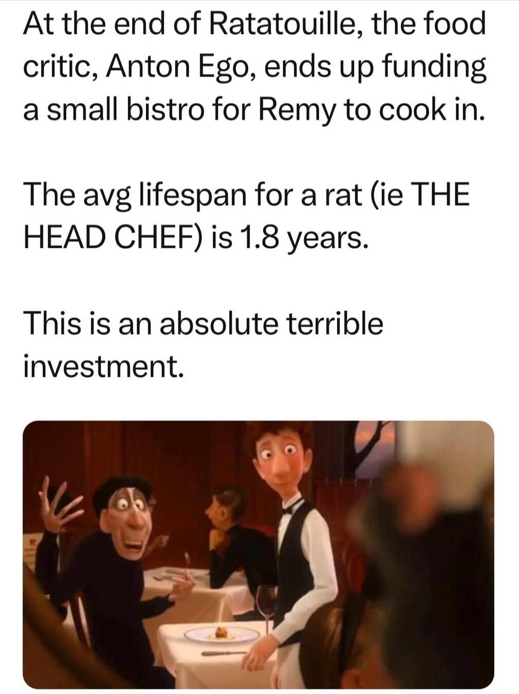 At the end of Ratatouille the food critic Anton Ego ends up funding a small bistro for Remy to cook in The avg lifespan for a rat ie THE HEAD CHEF is 18 years This is an absolute terrible investment