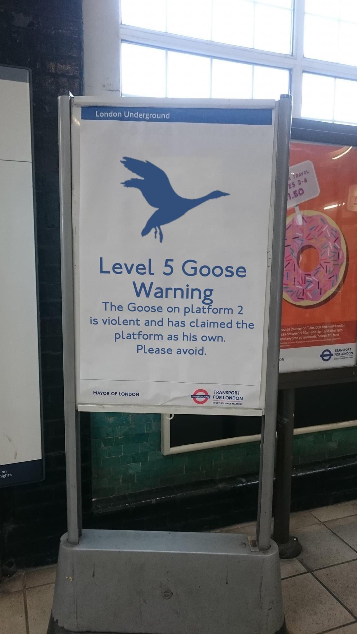 London Underground Level 5 Goose Warning The Goose on platform 2 is violent and has claimed the platform as his own Please avoid TRANSPORT MAYOR OF LONDON FOR LONDON