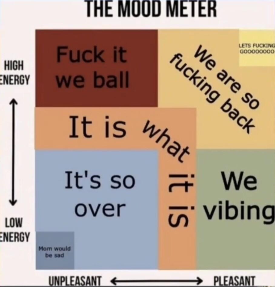THE MUOD METER