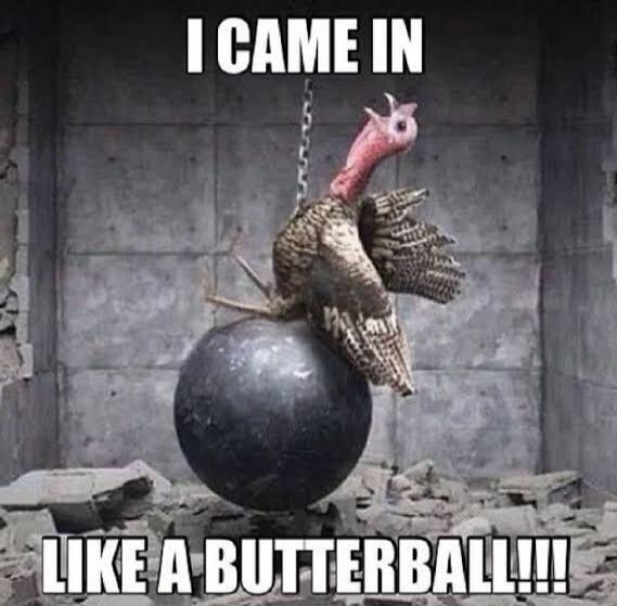 I CAME IN LIKE A BUTTERBALL!!!