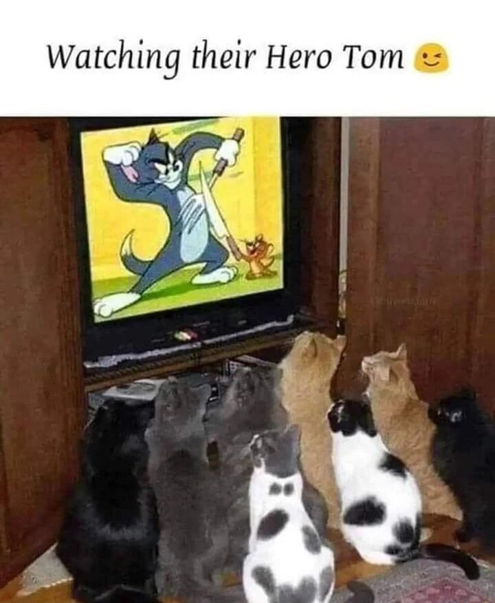 Watching their Hero Tom