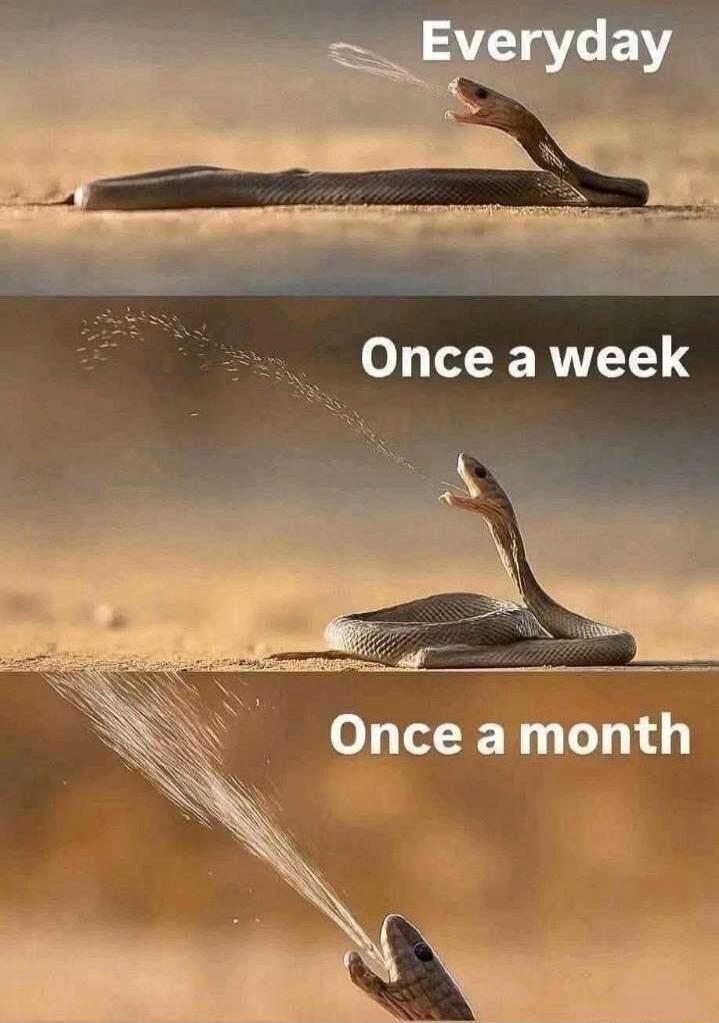 Everyday Once a week Once a month