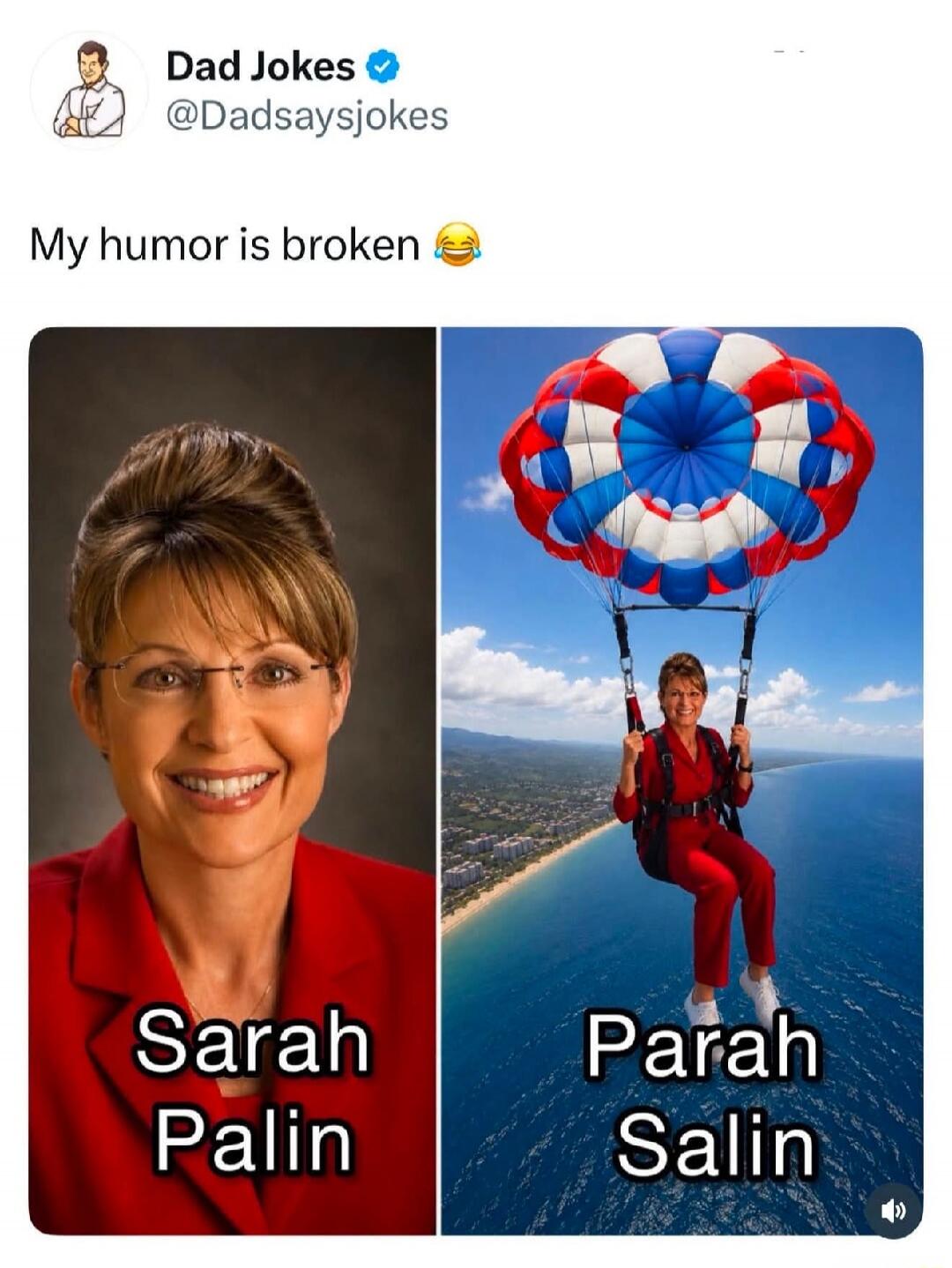 Dad Jokes @Dadsaysjokes My humor is broken 😂 Sarah Palin Parah Salin