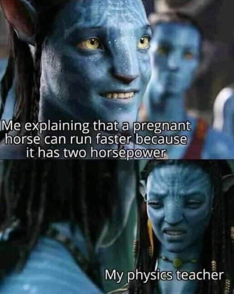 e p Me explaining thatfalpregnant horse can run faster because _ it has two horovj n 4 4 1 N y 3 s g My physiesiteachr