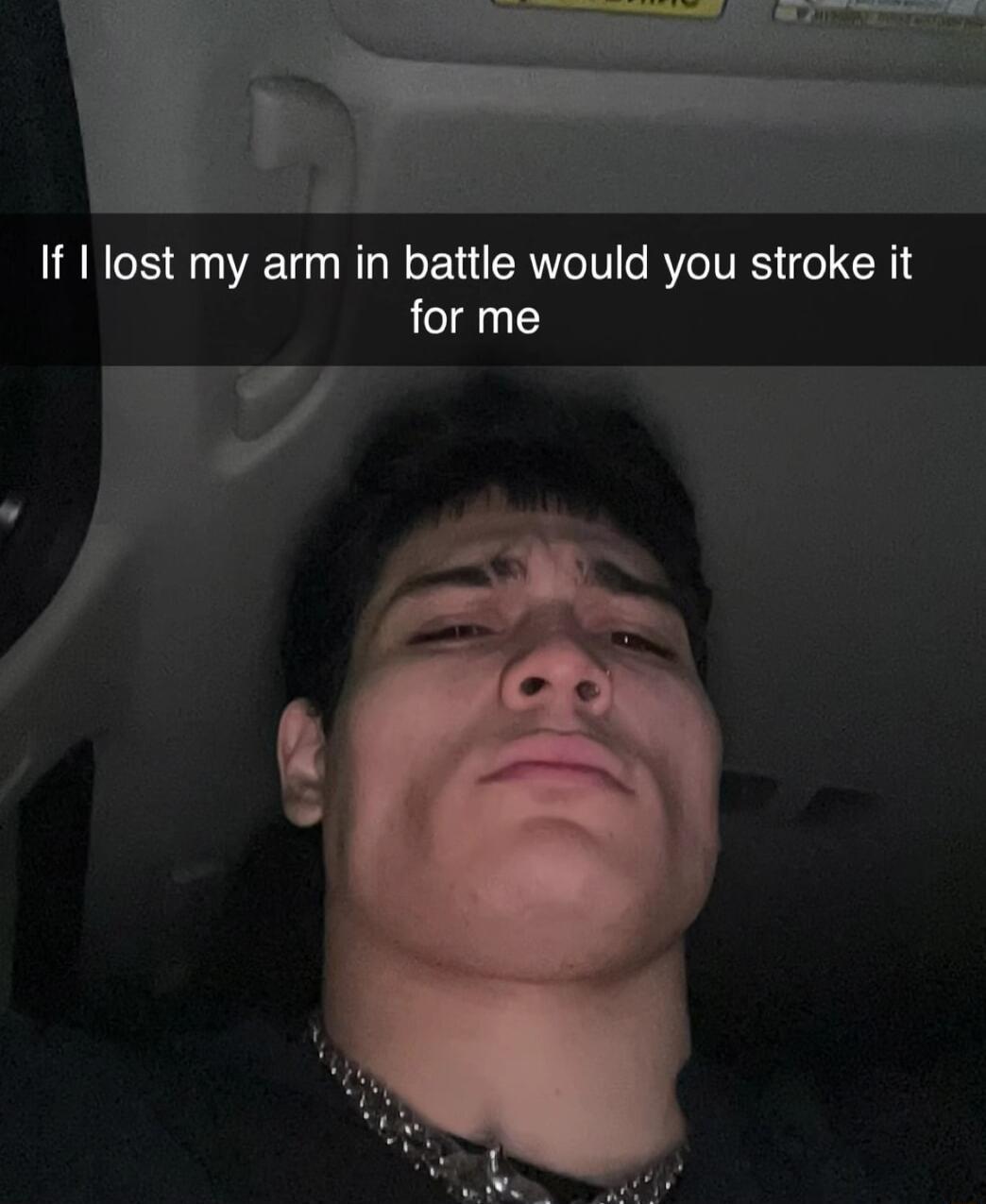 If I lost my arm in battle would you stroke it for me