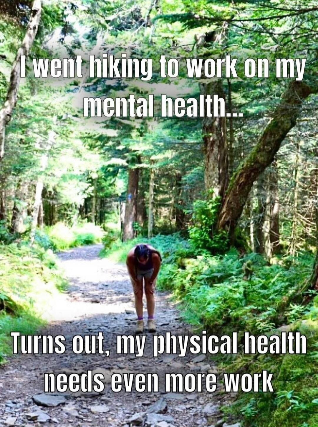 I went hiking to work on my mental health... Turns out, my physical health needs even more work