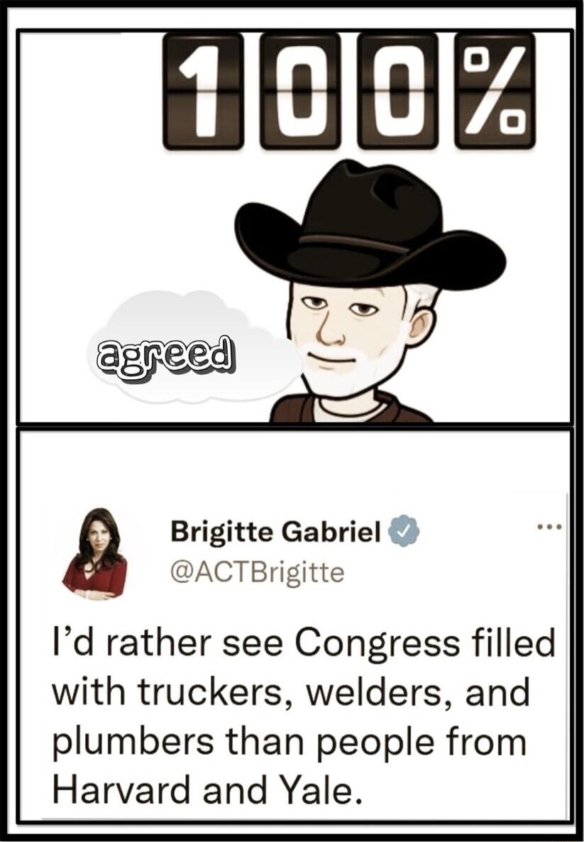 Brigitte Gabriel 2 ACTBrigitte Id rather see Congress filled with truckers welders and plumbers than people from Harvard and Yale