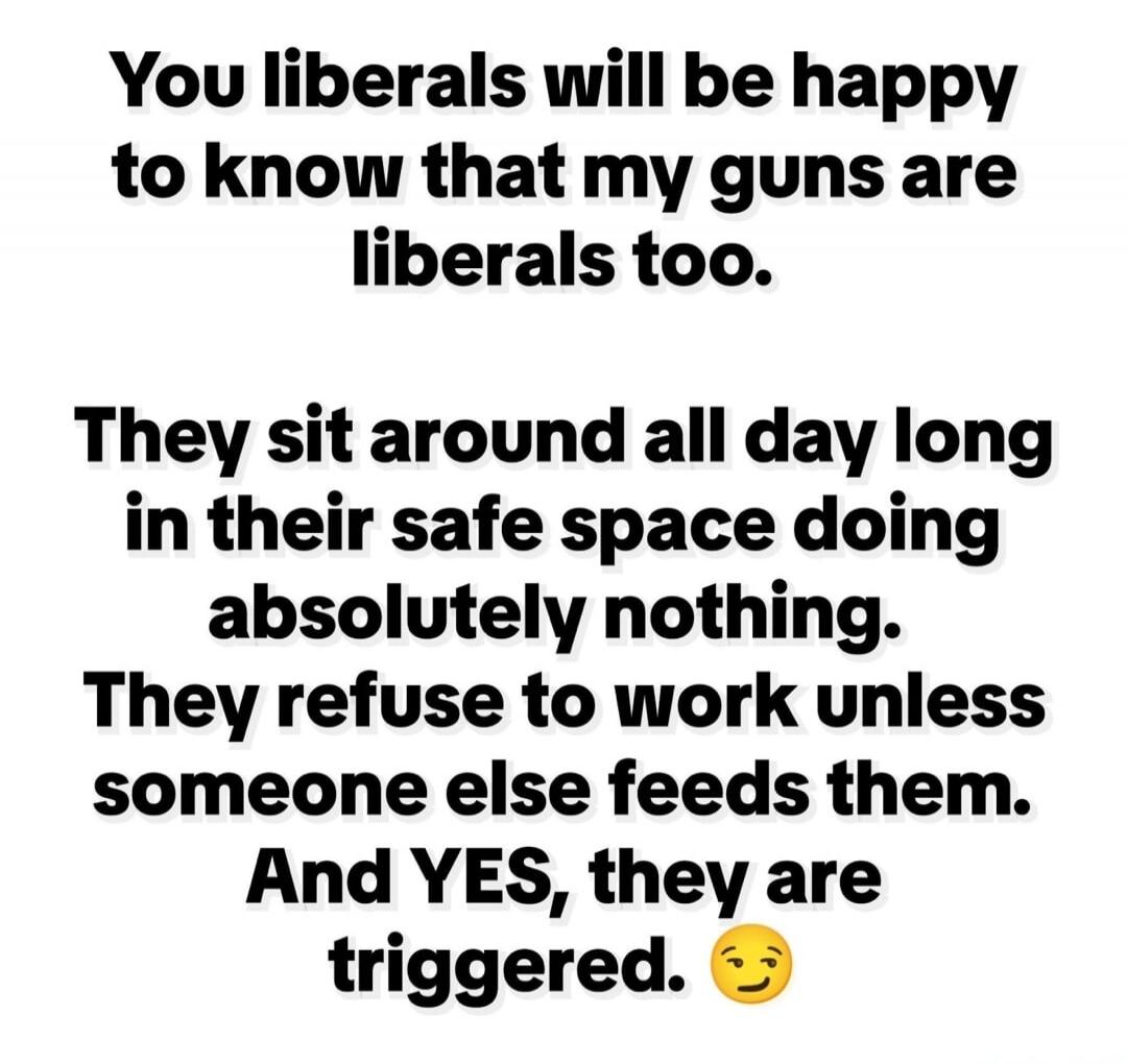 You liberals will be happy to know that my guns are liberals too. They sit around all day long in their safe space doing absolutely nothing. They refuse to work unless someone else feeds them. And YES, they are triggered. 😉