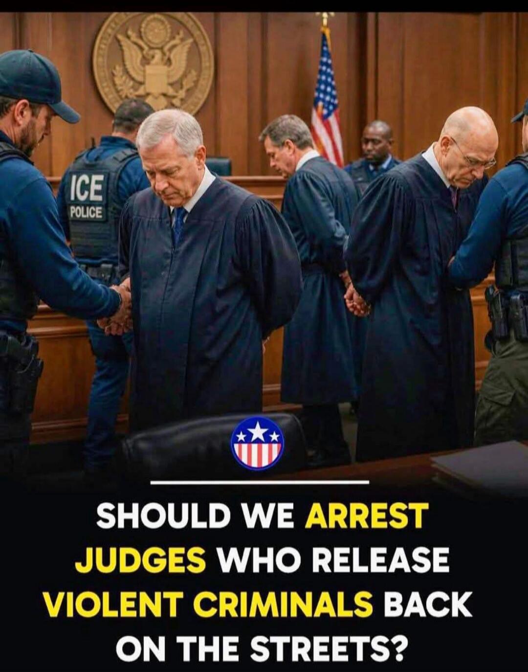 ICE POLICE. SHOULD WE ARREST JUDGES WHO RELEASE VIOLENT CRIMINALS BACK ON THE STREETS?